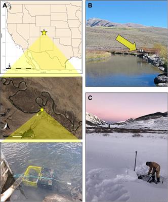 Hidden Processes During Seasonal Isolation of a High-Altitude Watershed
